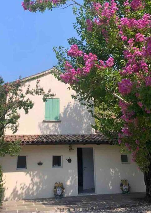 Casa Bellona Montebelluna Εξωτερικό φωτογραφία