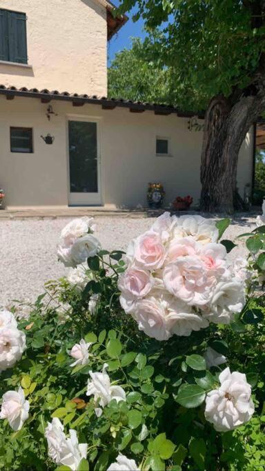 Casa Bellona Montebelluna Εξωτερικό φωτογραφία